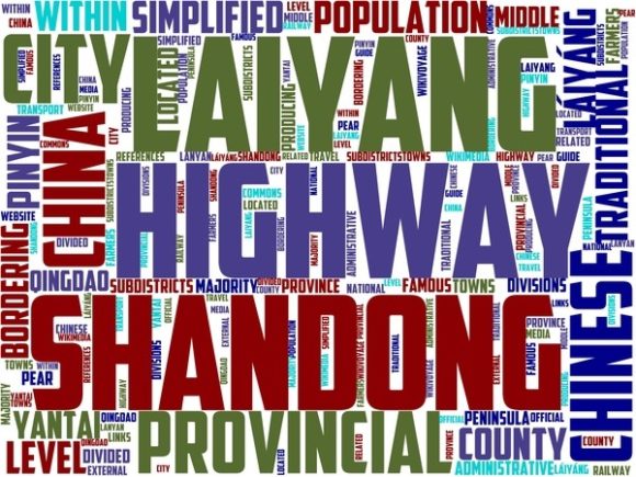 Laiyang Wordart Tumbler: Hand-Drawn Word Cloud Design