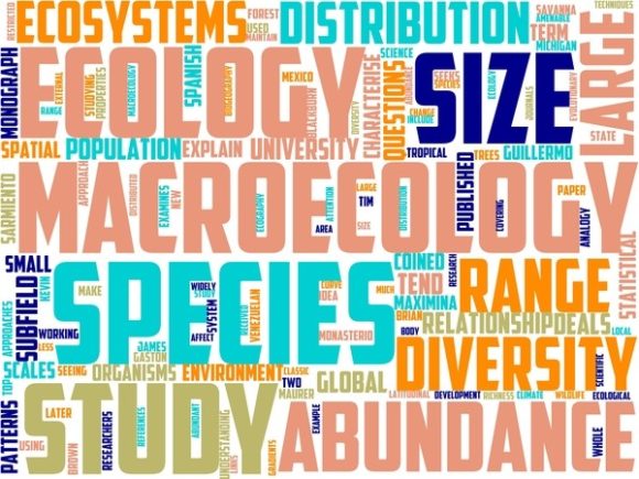 Macroecology Wordart Tumbler
