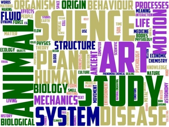 Mazology Wordart Crafting: Hand-Drawn Word Clouds That Actually Fit Your Life