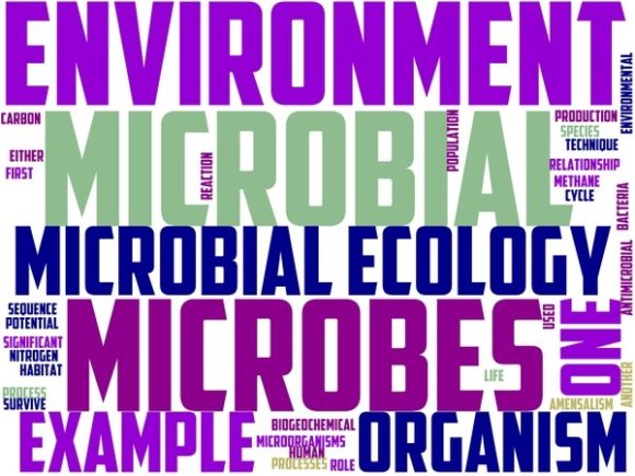 Microbial Ecology Wordart Sticker
