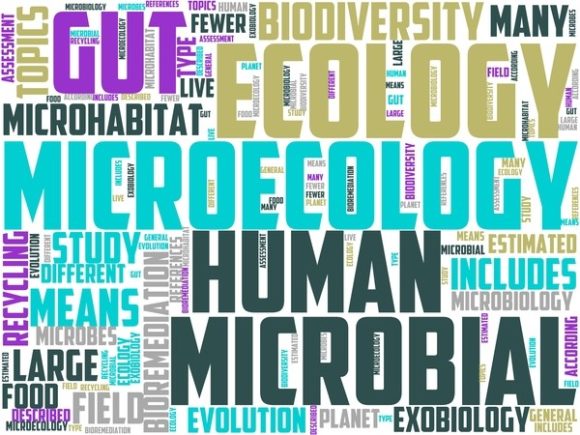 Microecology Wordart Wallpaper