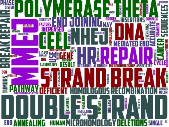 Microhomology Wordart Print: A Hand-Drawn Word Cloud That Works Where You Do