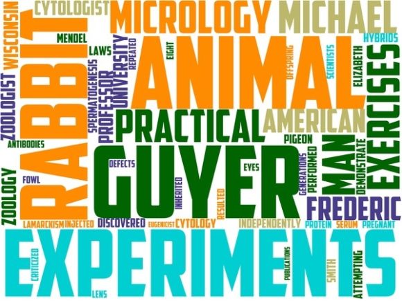 Micrology Wordart Sticker