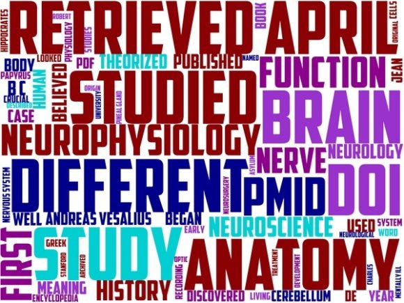 Neurophysiology Wordart Sublimation: Where Science Meets Style